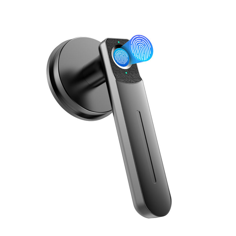 Fechadura de porta Smart C01 de impressão digital, fechadura de porta de entrada sem chave com alça, fechadura de porta biométrica